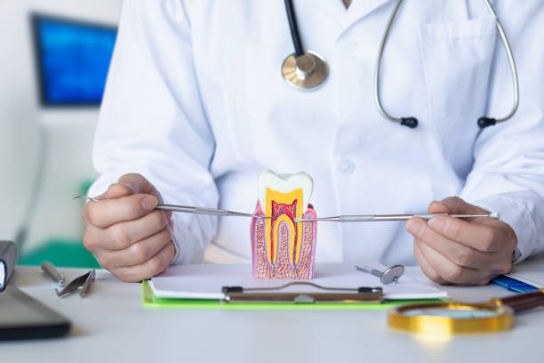 Best Emergency Gum Treatment in East Highland Park, VA